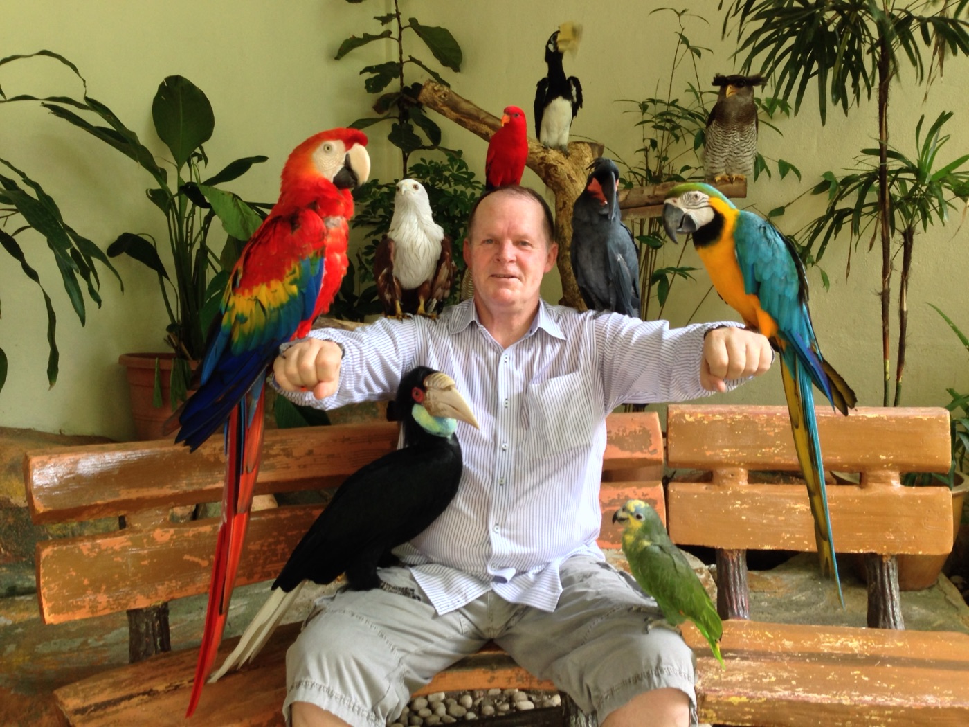 Rick Collingwood surrounded by birds.